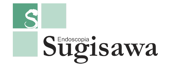 Endoscopia Sugisawa — cliente Agência ONE